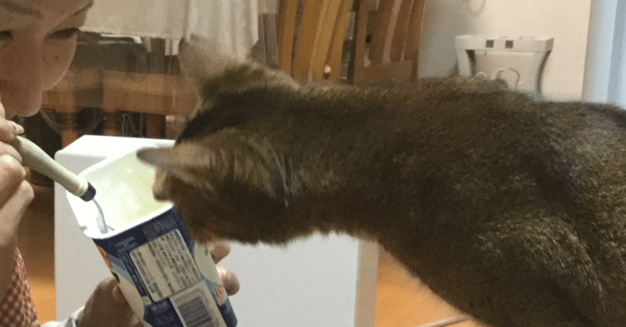 ねこの日