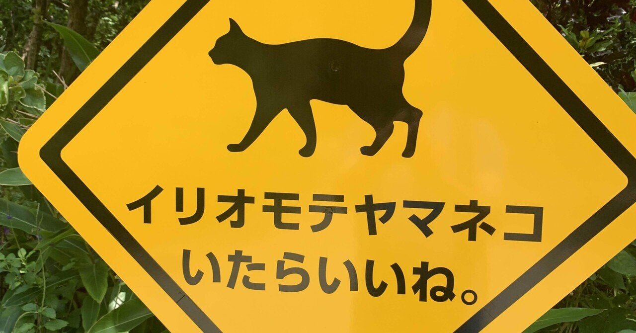 水牛車に乗った日