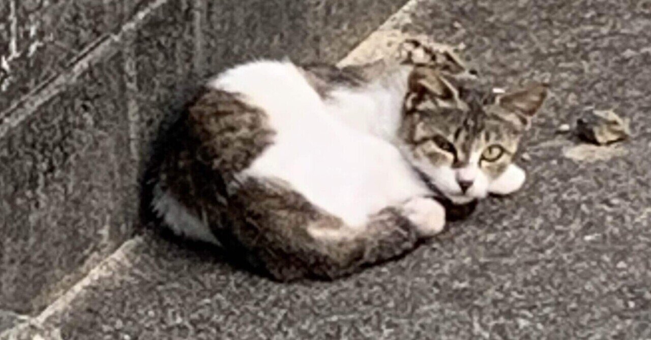 10日ぶりの帰宅