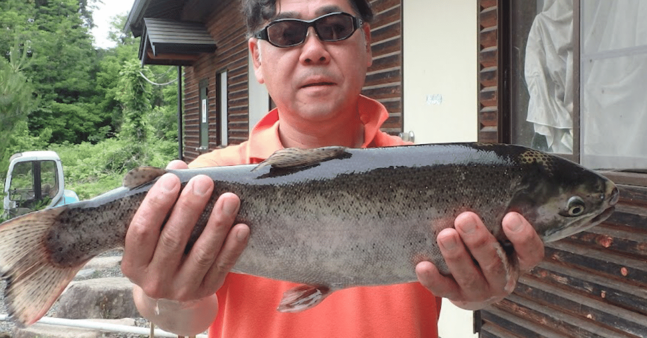 カムバックサーモンな日