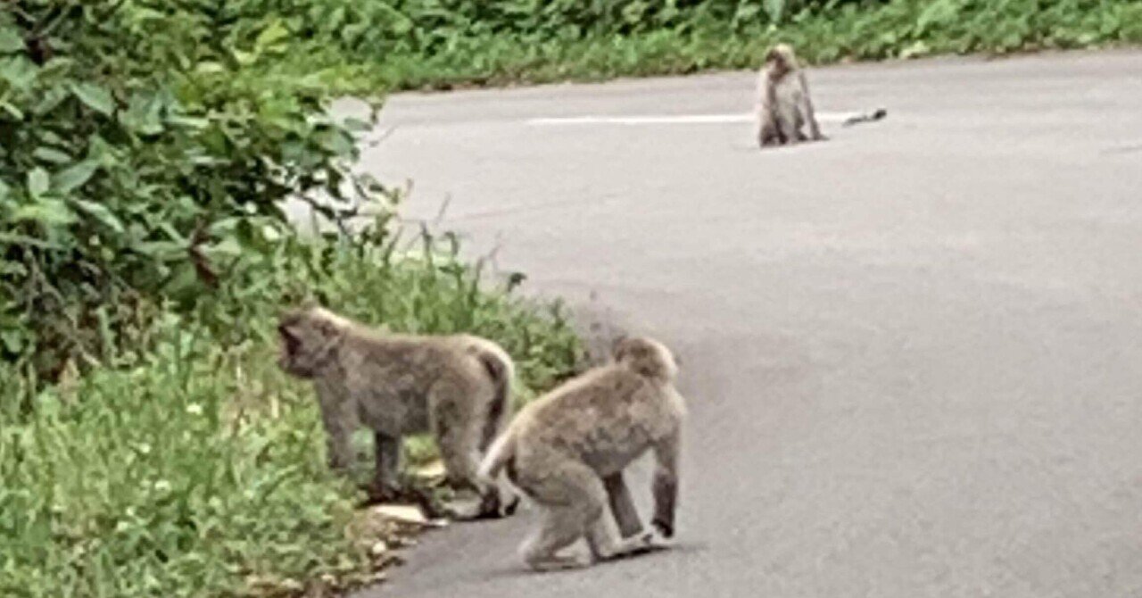 東北10日ドライブまとめ