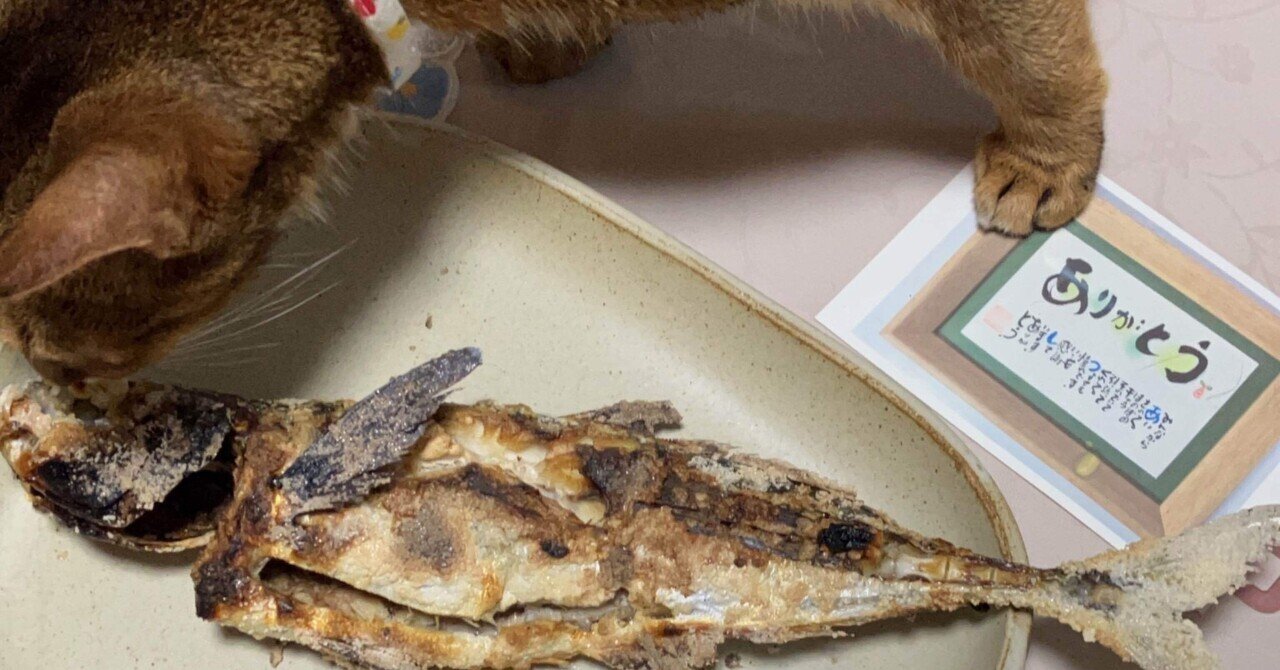 猫は魚好き