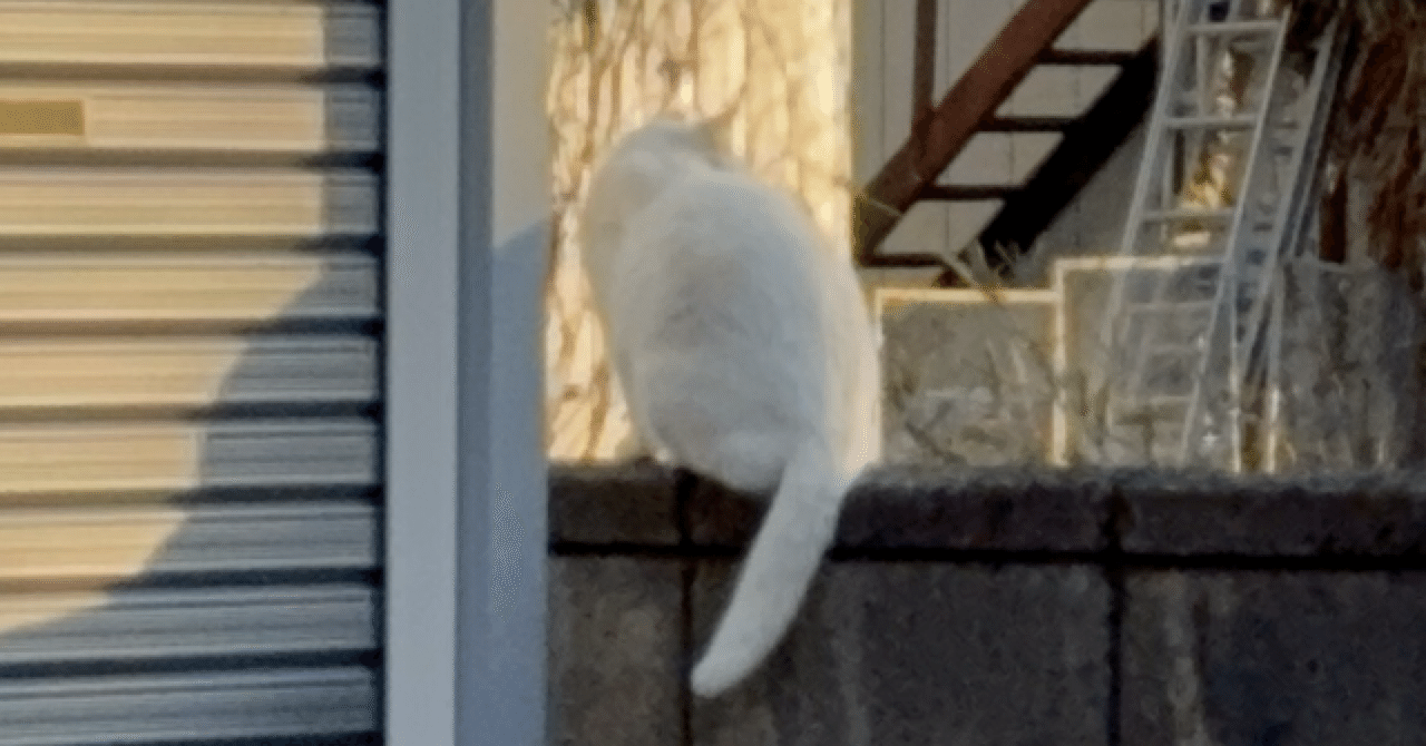 ベルとフェイマスグラウス
