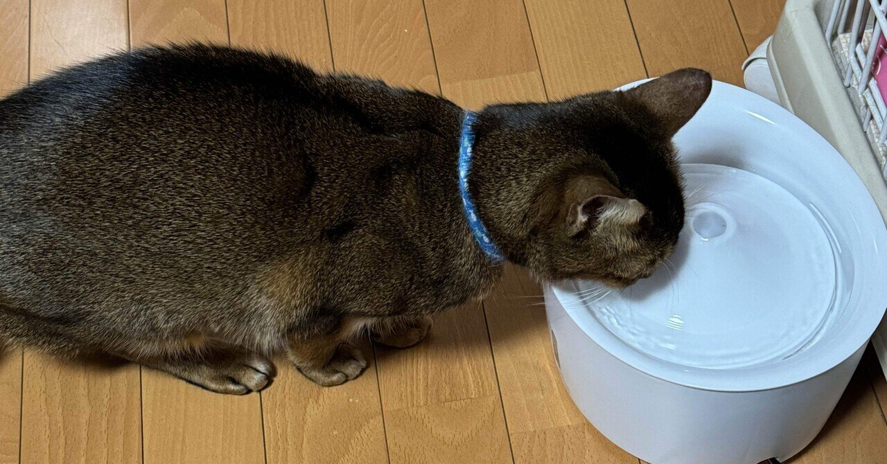 不動産屋回りの日