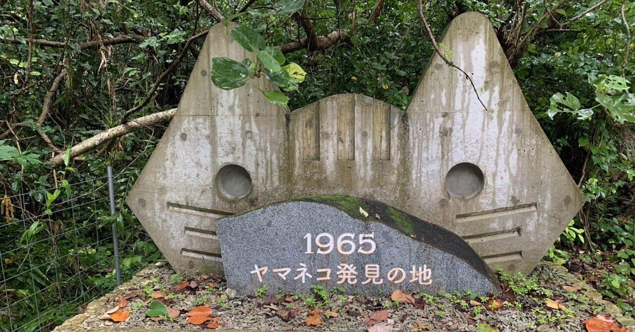 旅行解禁し〼