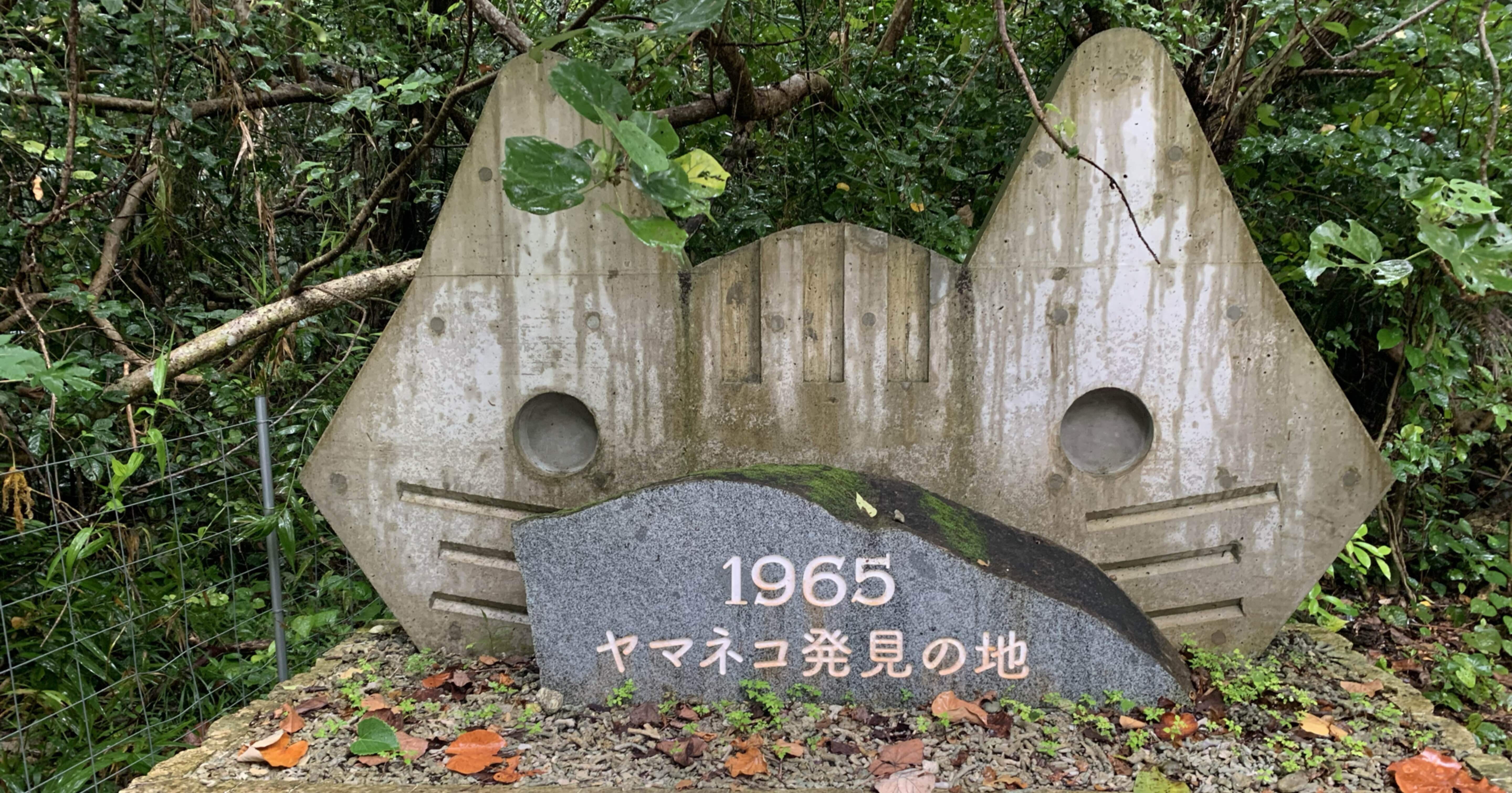旅行解禁1