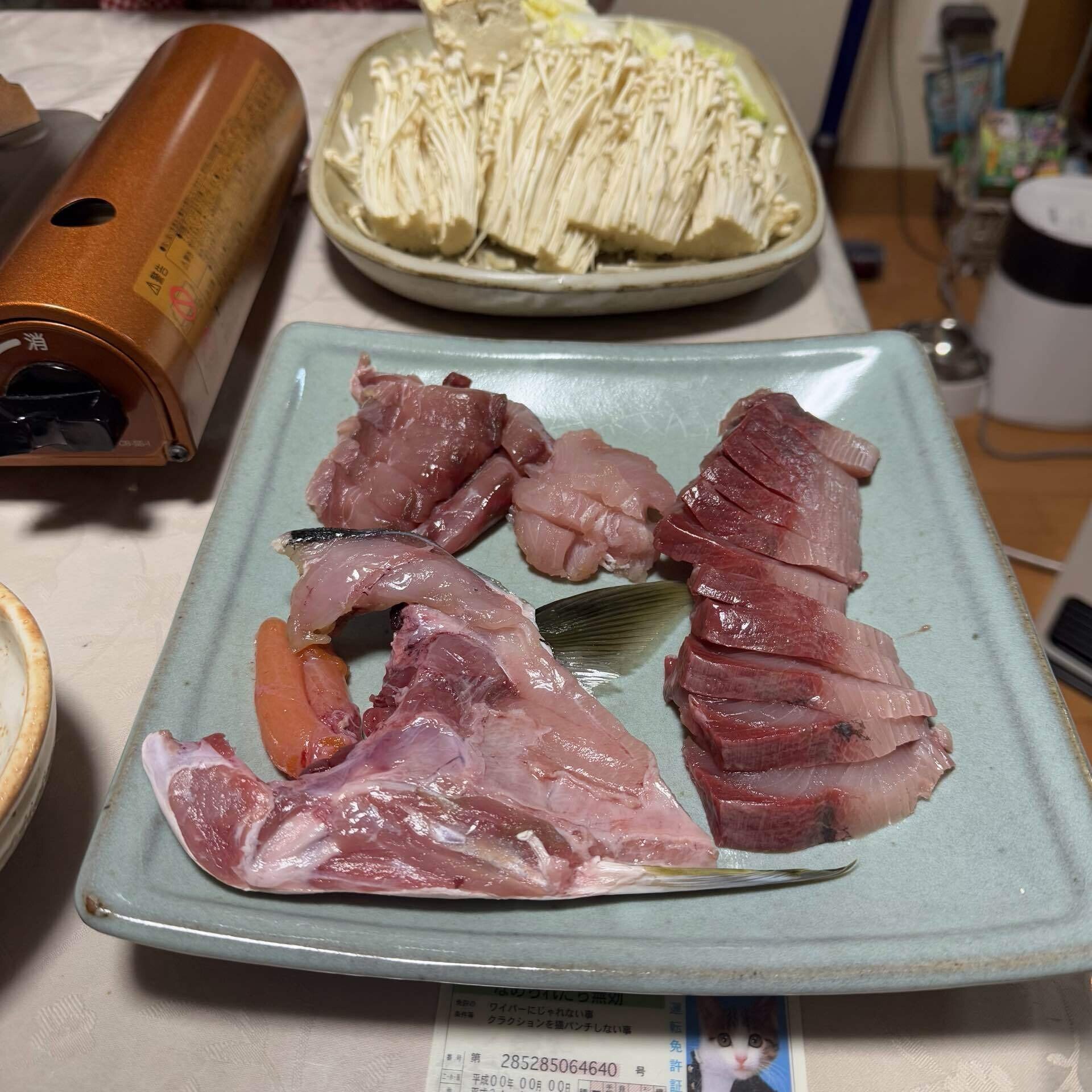 東京湾ワラサ5