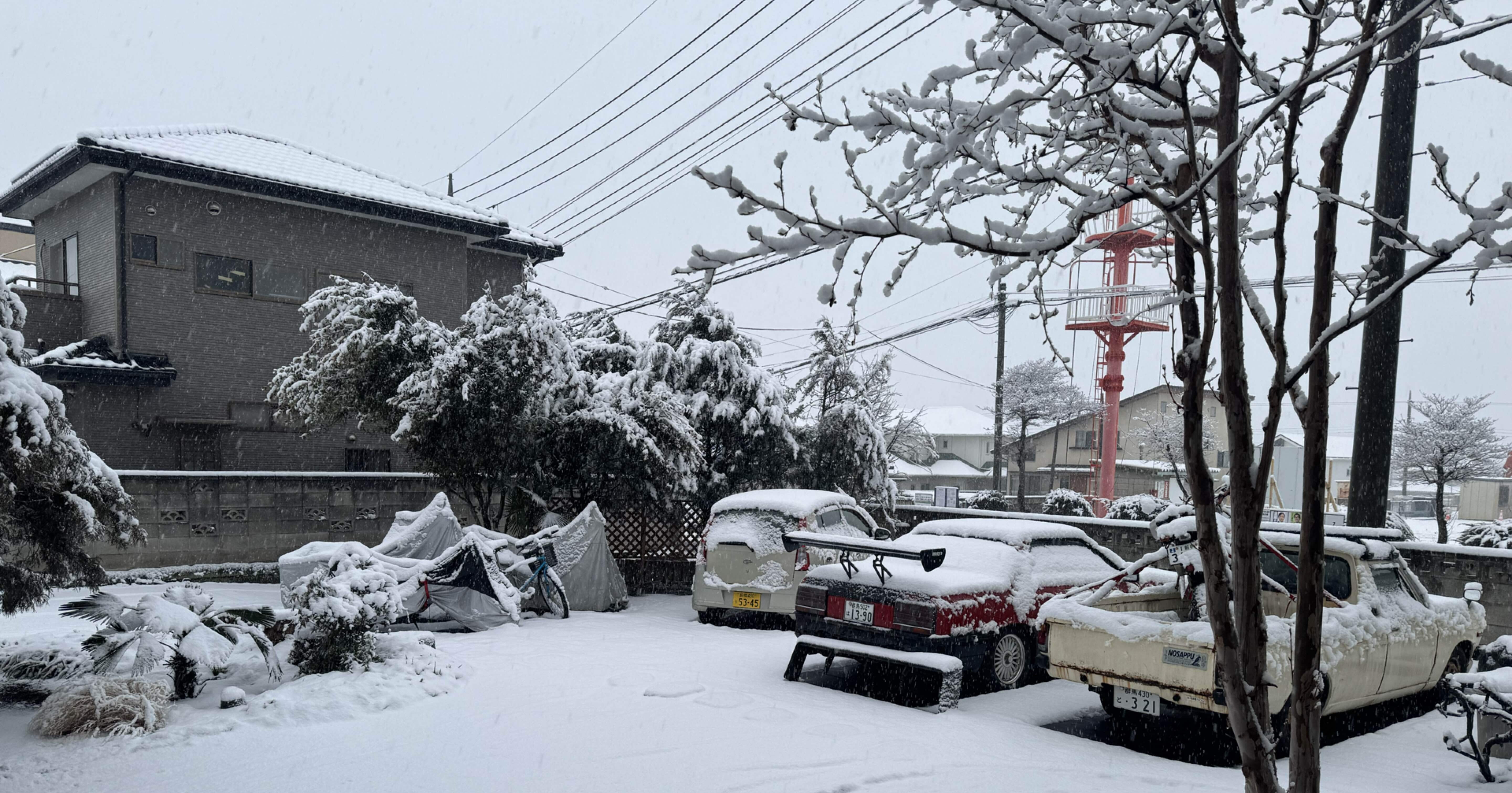 雪の日1