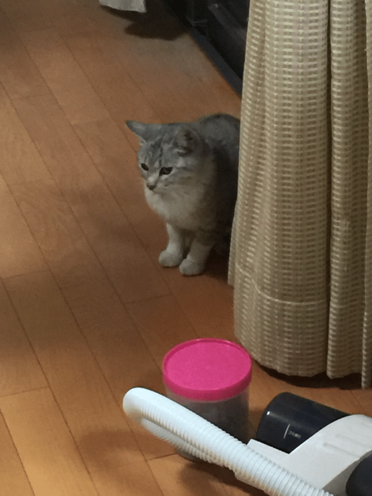 怪しい来客3