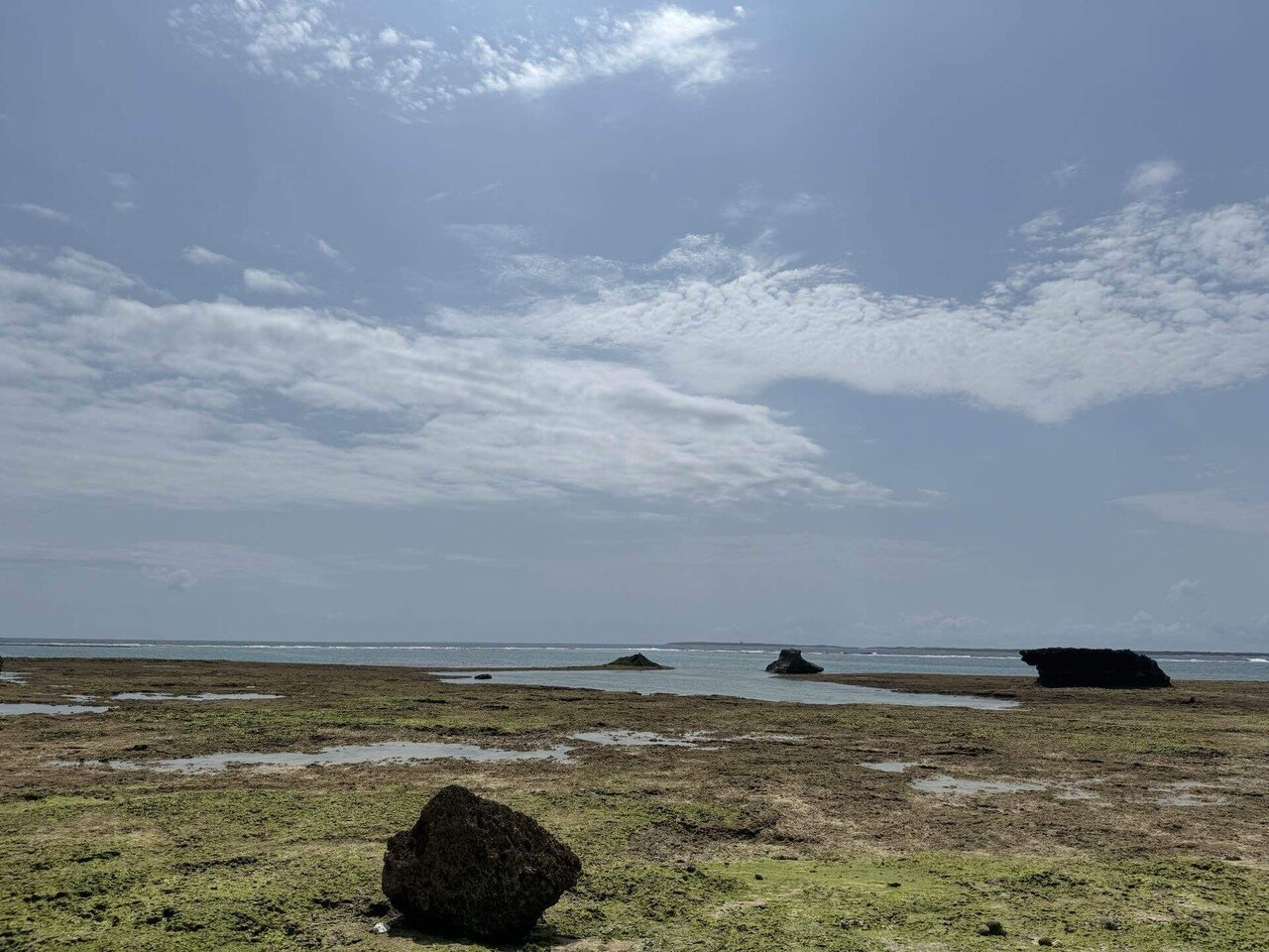 黒島の海岸(リーフプール)