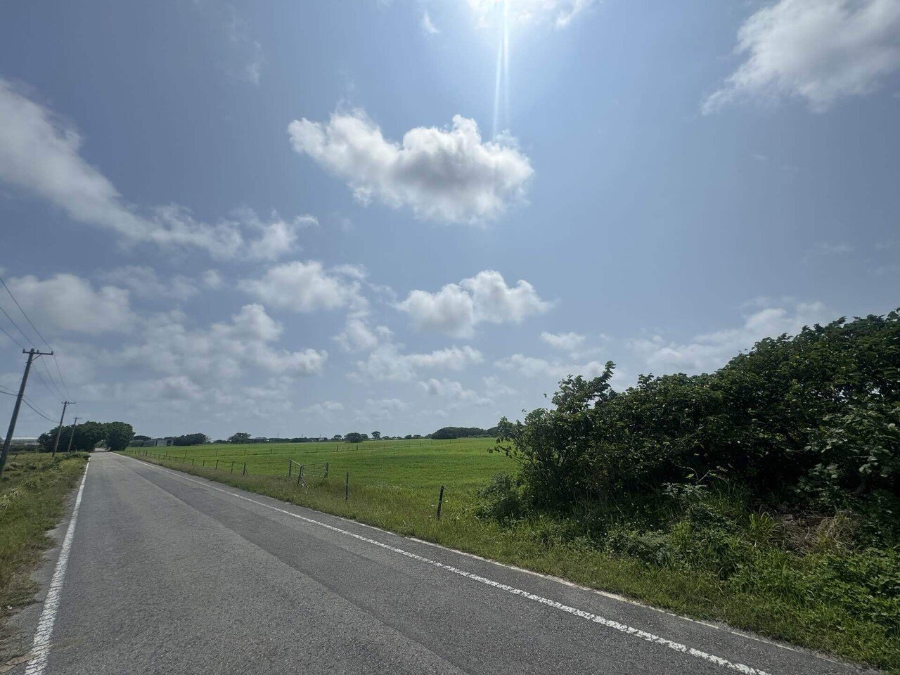 黒島のサイクリングロード