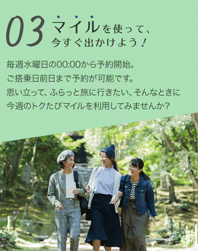 ANAトクたびマイル4