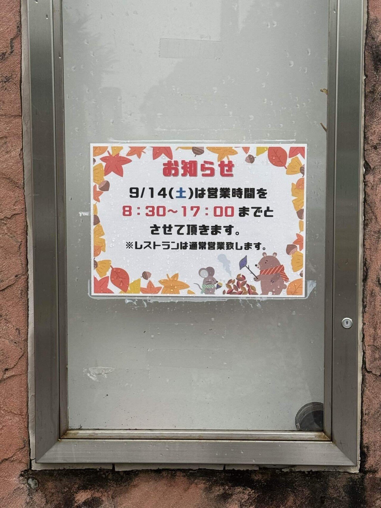 宮崎鶏のタタキ4