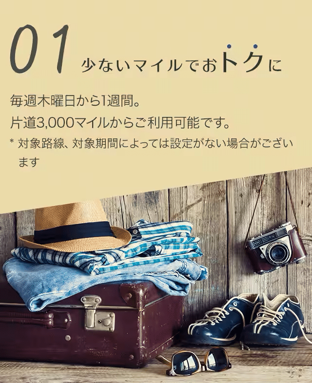 ANAトクたびマイル2