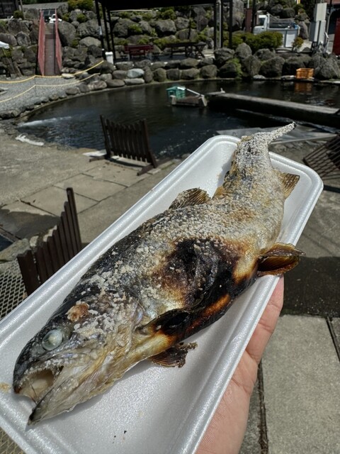川場フィッシングプラザの写真4