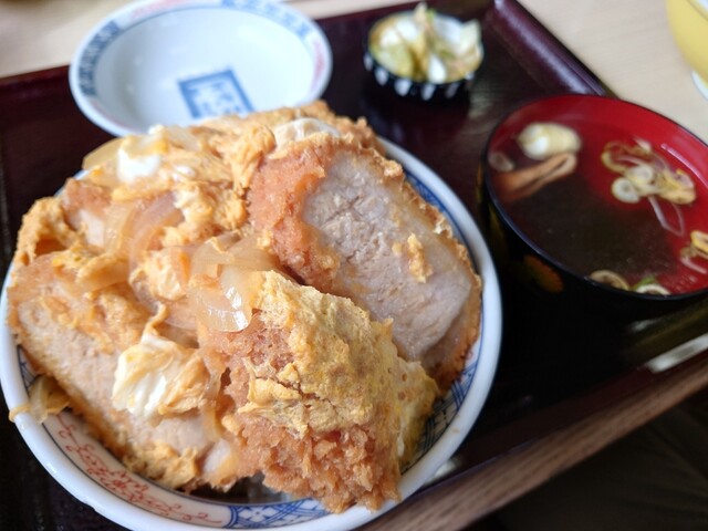 若竹の写真2